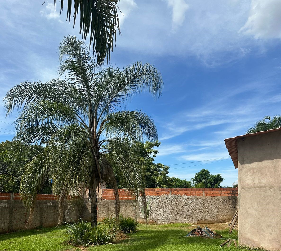 24-SEGUNDA CASA-FASE DE ACABAMENTO - ÁREA EXTERNA II