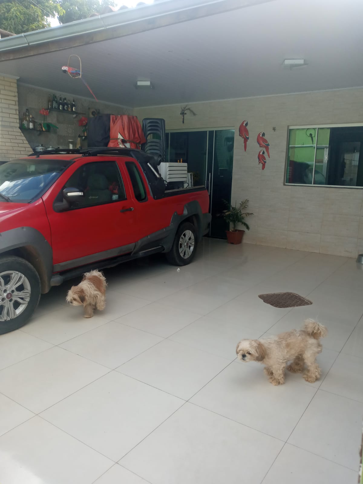 IMG-20240819-WA0108